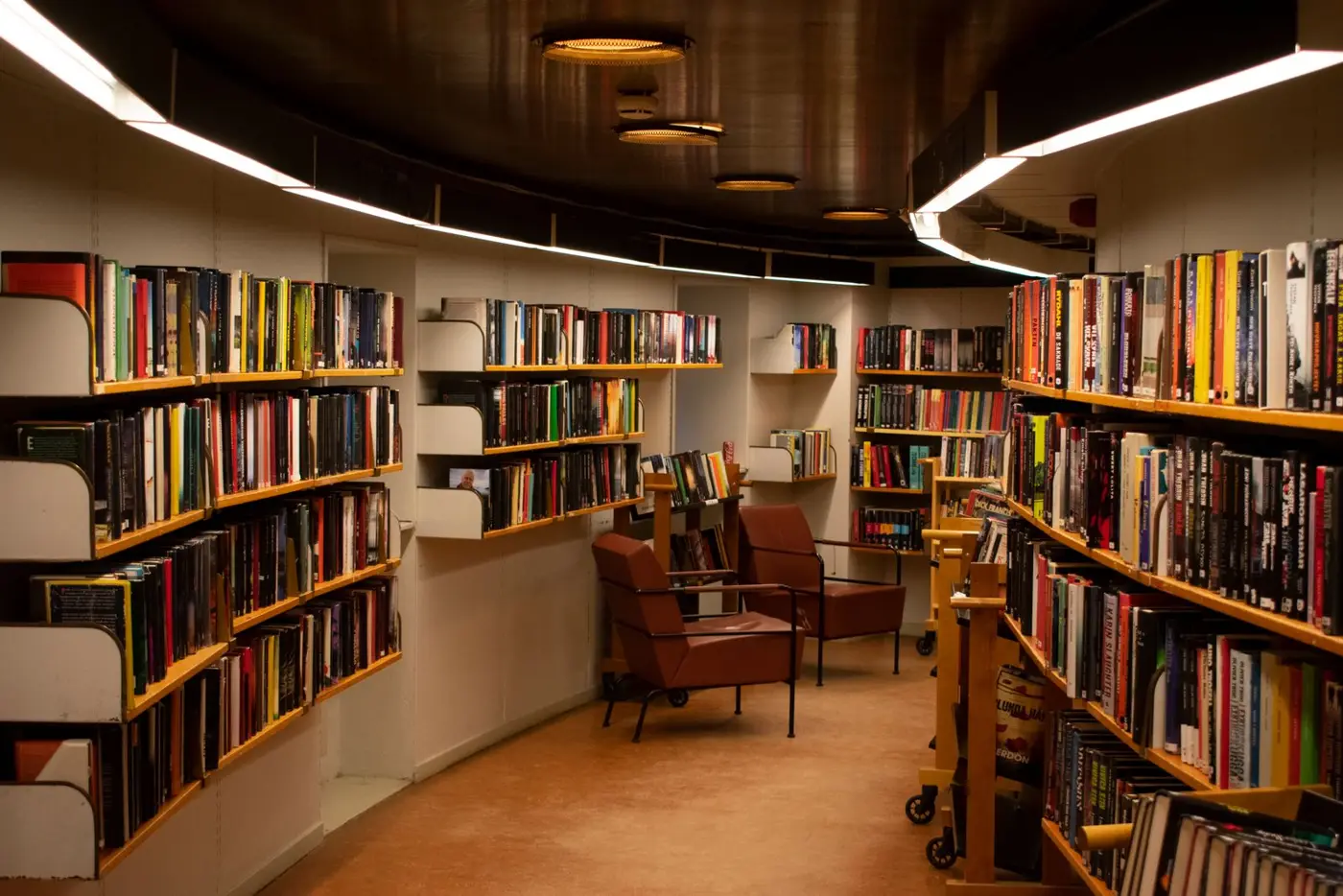 Library shelves full of books